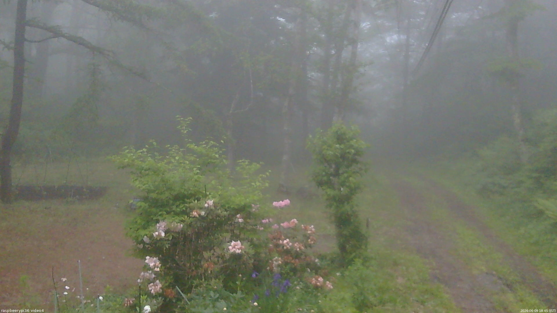 長野県菅平高原 ゆたか山荘 坂上 2026/06/09 18:45