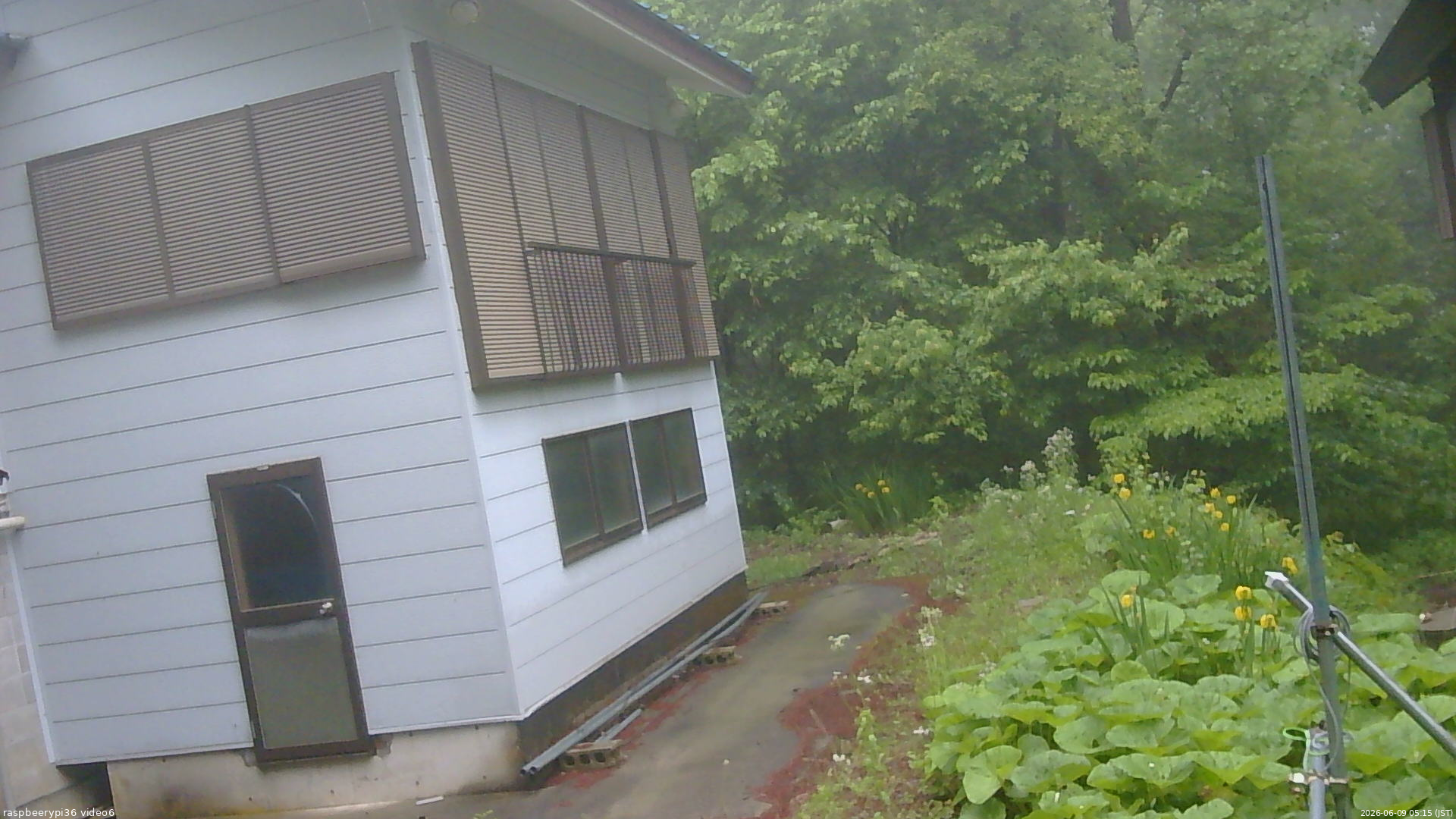 長野県菅平高原 ゆたか山荘 坂下 2026/06/09 05:15