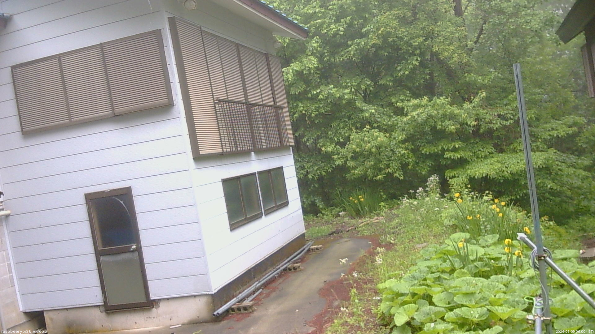 長野県菅平高原 ゆたか山荘 坂下 2026/06/09 06:00