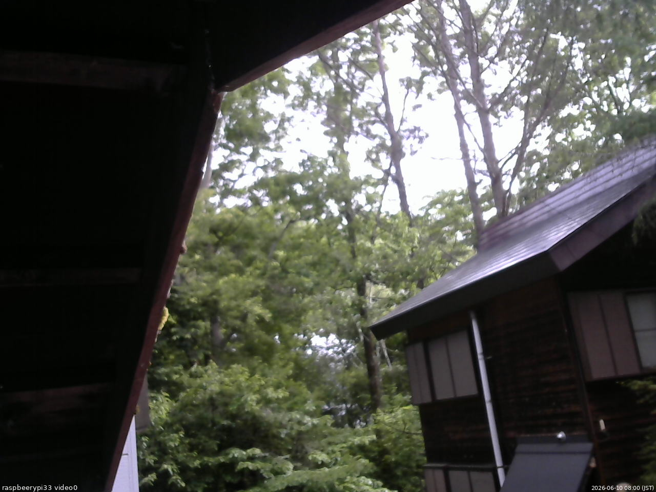 長野県菅平高原 ゆたか山荘 北側 2026/06/10 08:00