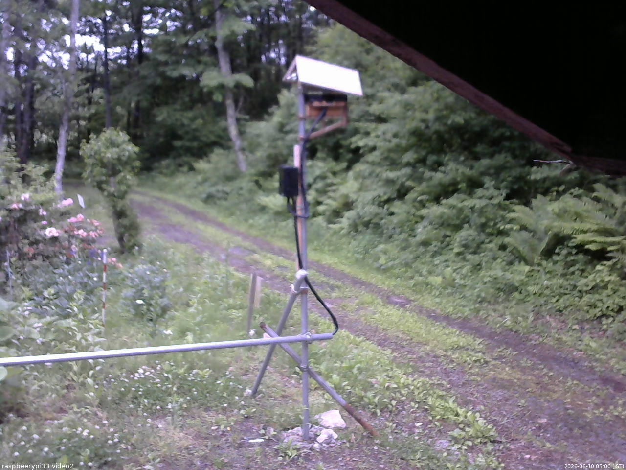 長野県菅平高原 ゆたか山荘 南側 2026/06/10 05:00