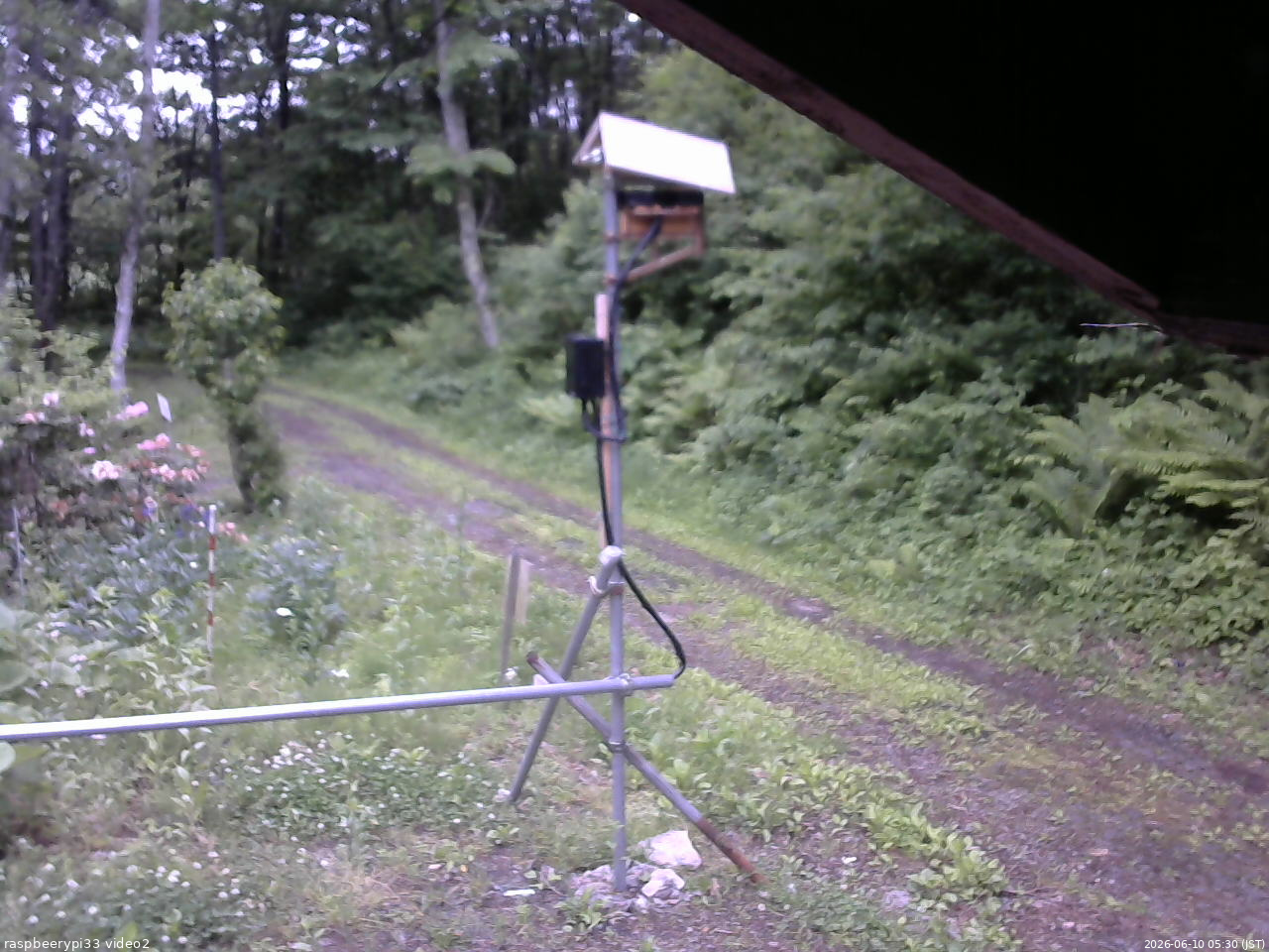 長野県菅平高原 ゆたか山荘 南側 2026/06/10 05:30