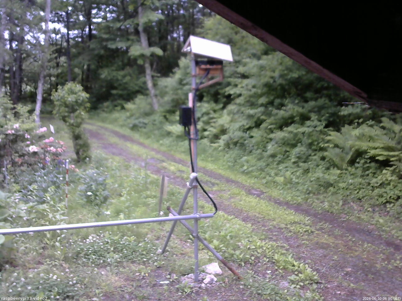 長野県菅平高原 ゆたか山荘 南側 2026/06/10 06:00