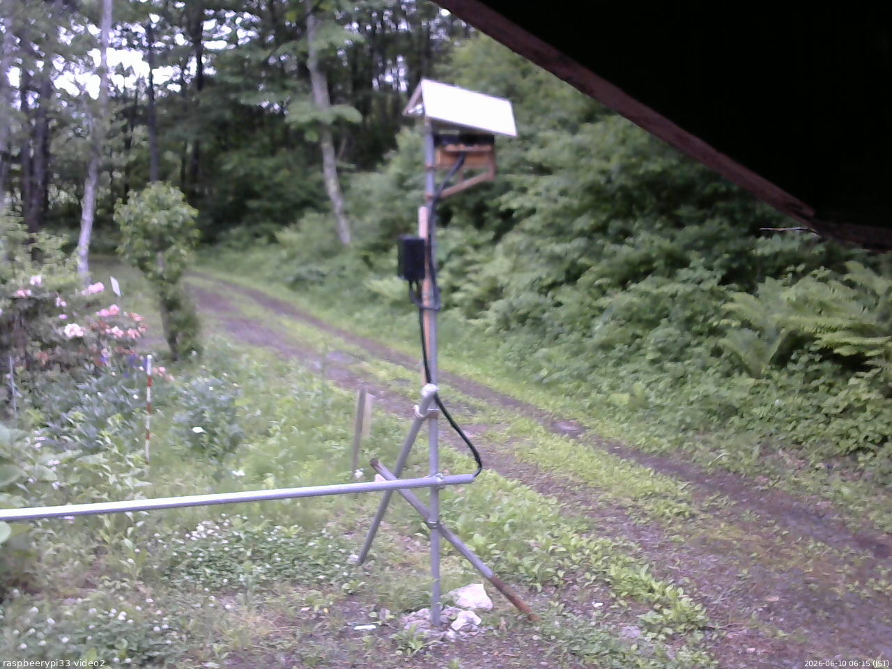 長野県菅平高原 ゆたか山荘 南側 2026/06/10 06:15