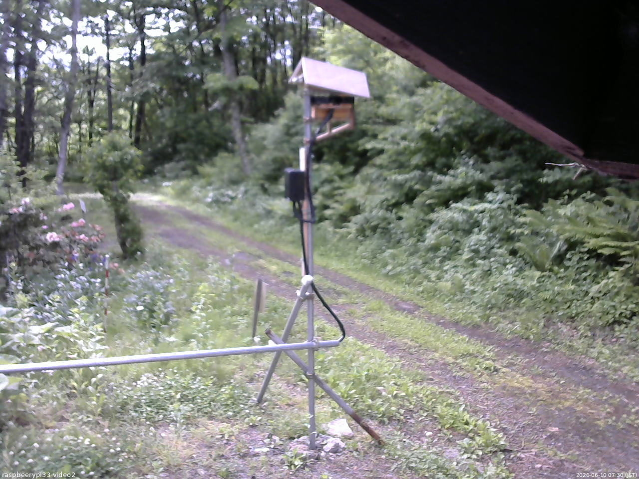長野県菅平高原 ゆたか山荘 南側 2026/06/10 07:30