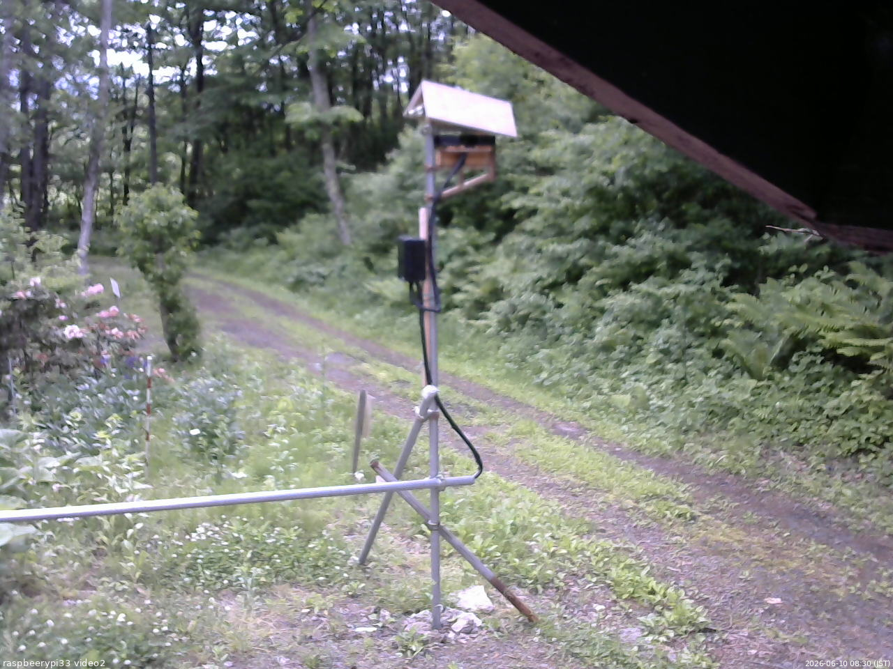 長野県菅平高原 ゆたか山荘 南側 2026/06/10 08:30