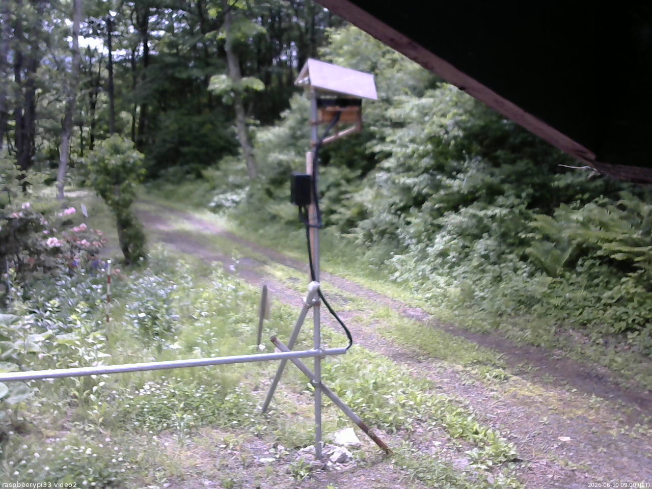 長野県菅平高原 ゆたか山荘 南側 2026/06/10 09:00