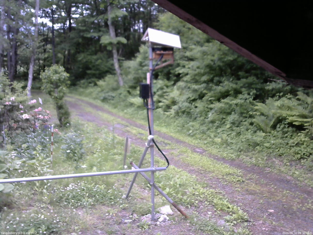 長野県菅平高原 ゆたか山荘 南側 2026/06/10 09:30