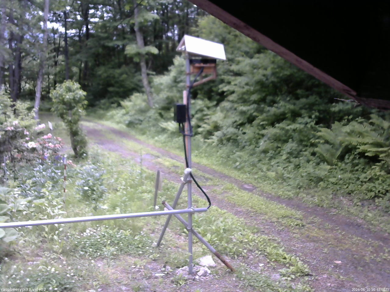 長野県菅平高原 ゆたか山荘 南側 2026/06/10 10:45