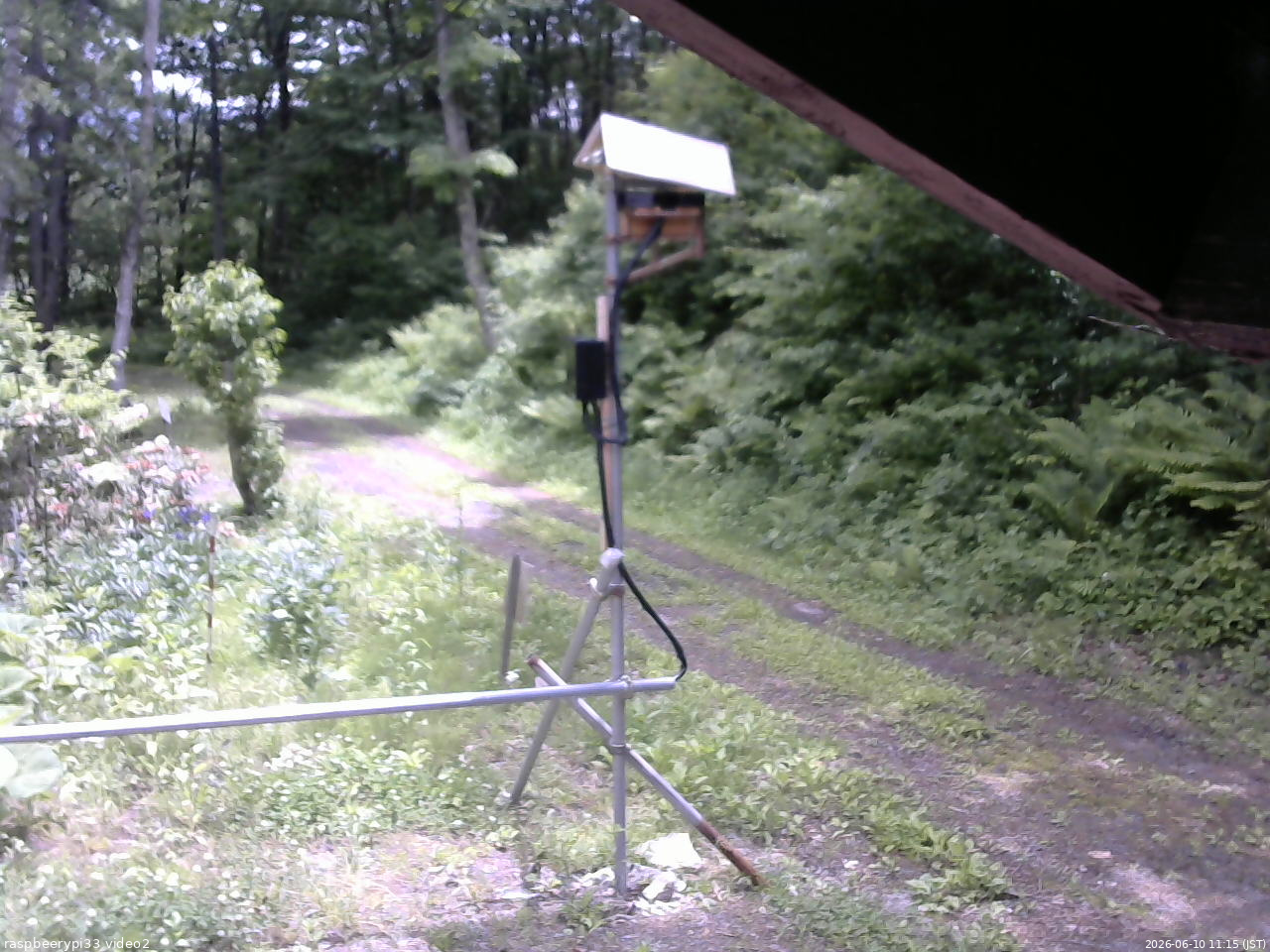 長野県菅平高原 ゆたか山荘 南側 2026/06/10 11:15