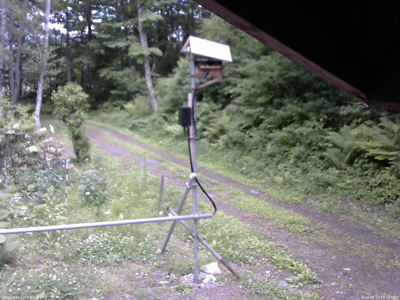長野県菅平高原 ゆたか山荘 南側 2026/06/10 13:15