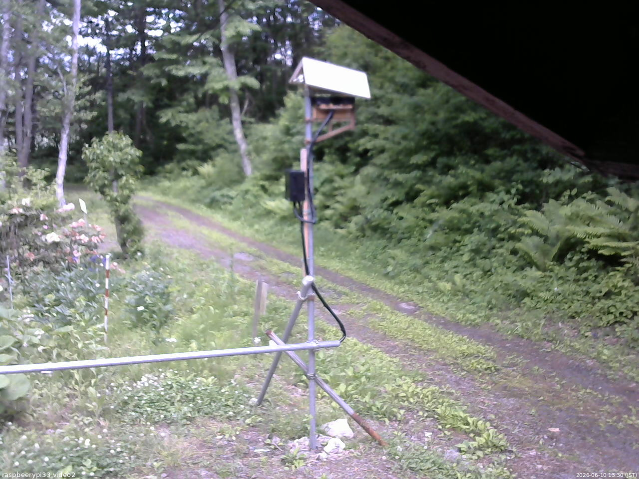 長野県菅平高原 ゆたか山荘 南側 2026/06/10 13:30