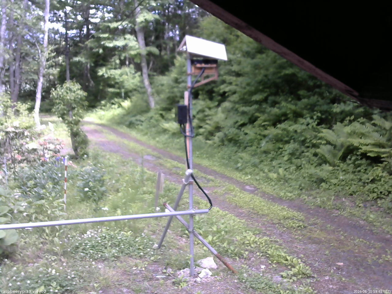 長野県菅平高原 ゆたか山荘 南側 2026/06/10 13:45