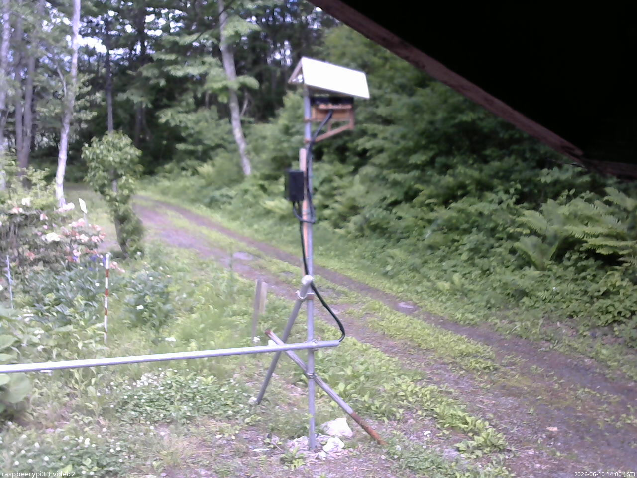 長野県菅平高原 ゆたか山荘 南側 2026/06/10 14:00