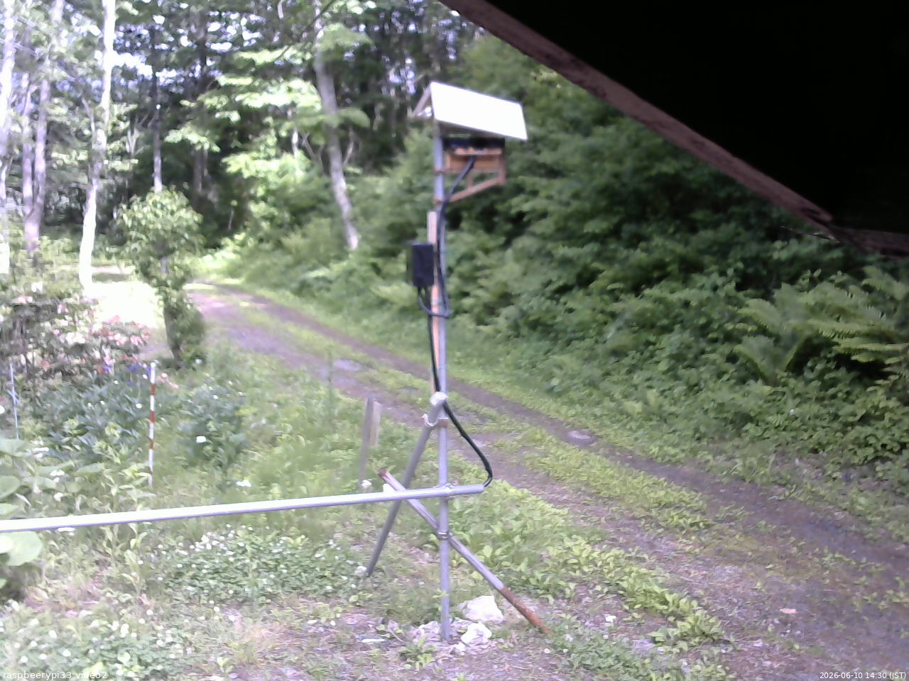 長野県菅平高原 ゆたか山荘 南側 2026/06/10 14:30