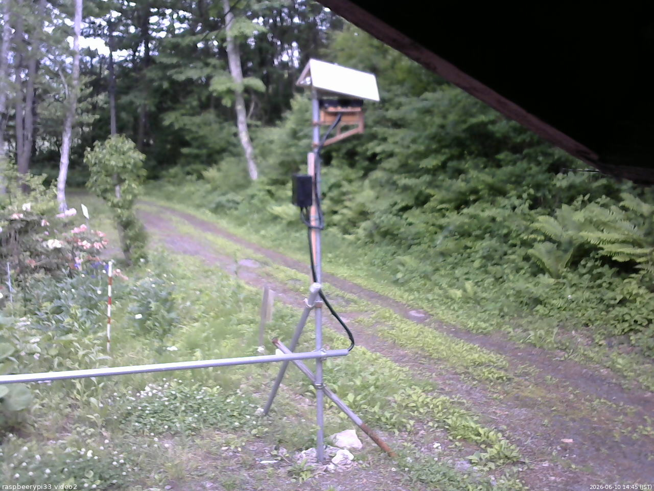 長野県菅平高原 ゆたか山荘 南側 2026/06/10 14:45