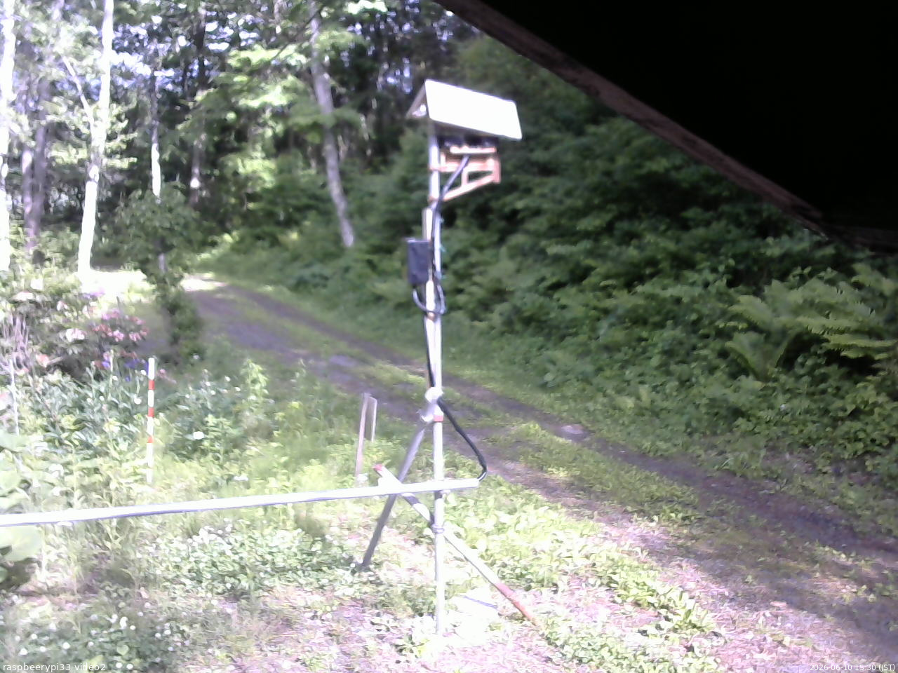 長野県菅平高原 ゆたか山荘 南側 2026/06/10 15:30