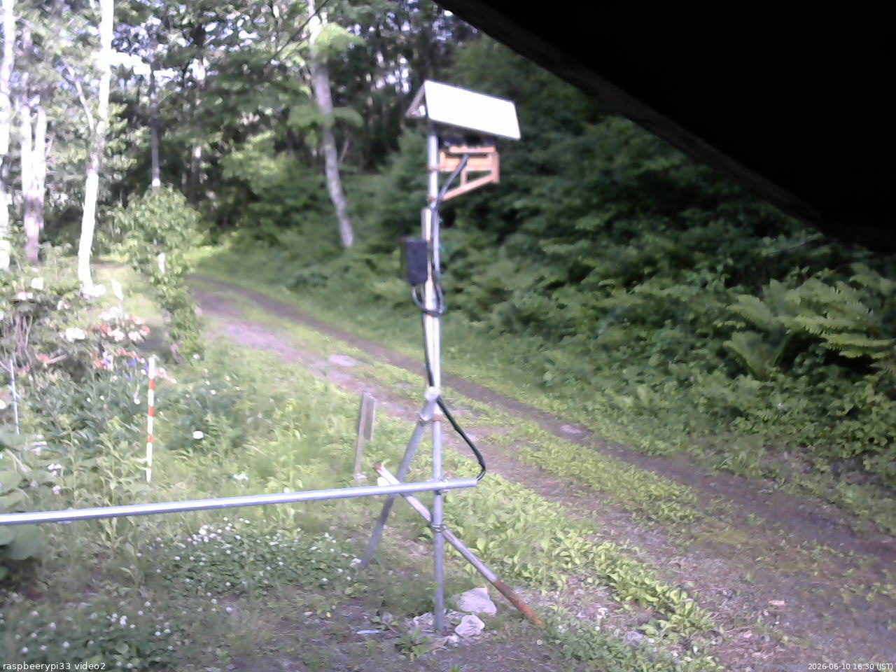 長野県菅平高原 ゆたか山荘 南側 2026/06/10 16:30