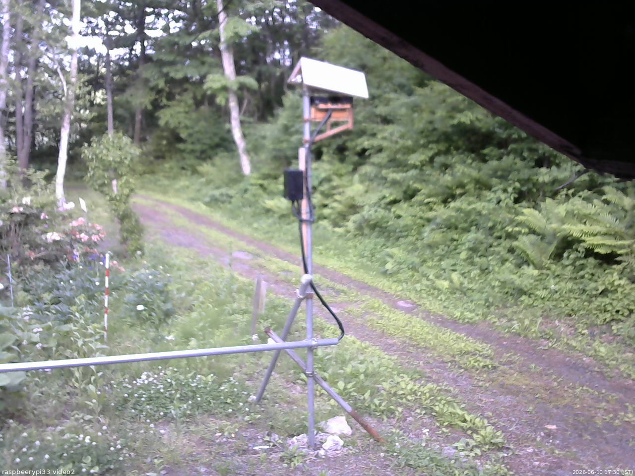 長野県菅平高原 ゆたか山荘 南側 2026/06/10 17:30