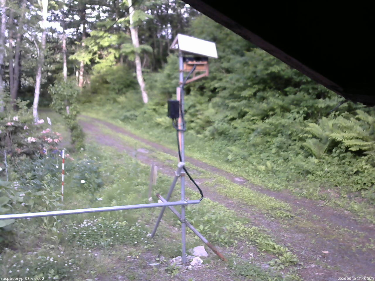 長野県菅平高原 ゆたか山荘 南側 2026/06/10 17:45