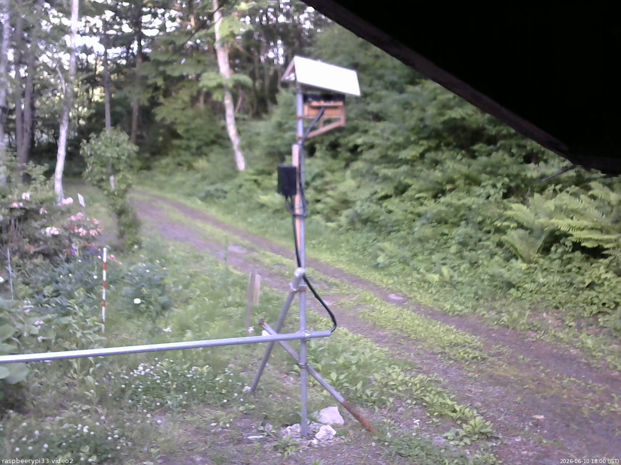 長野県菅平高原 ゆたか山荘 南側 2026/06/10 18:00