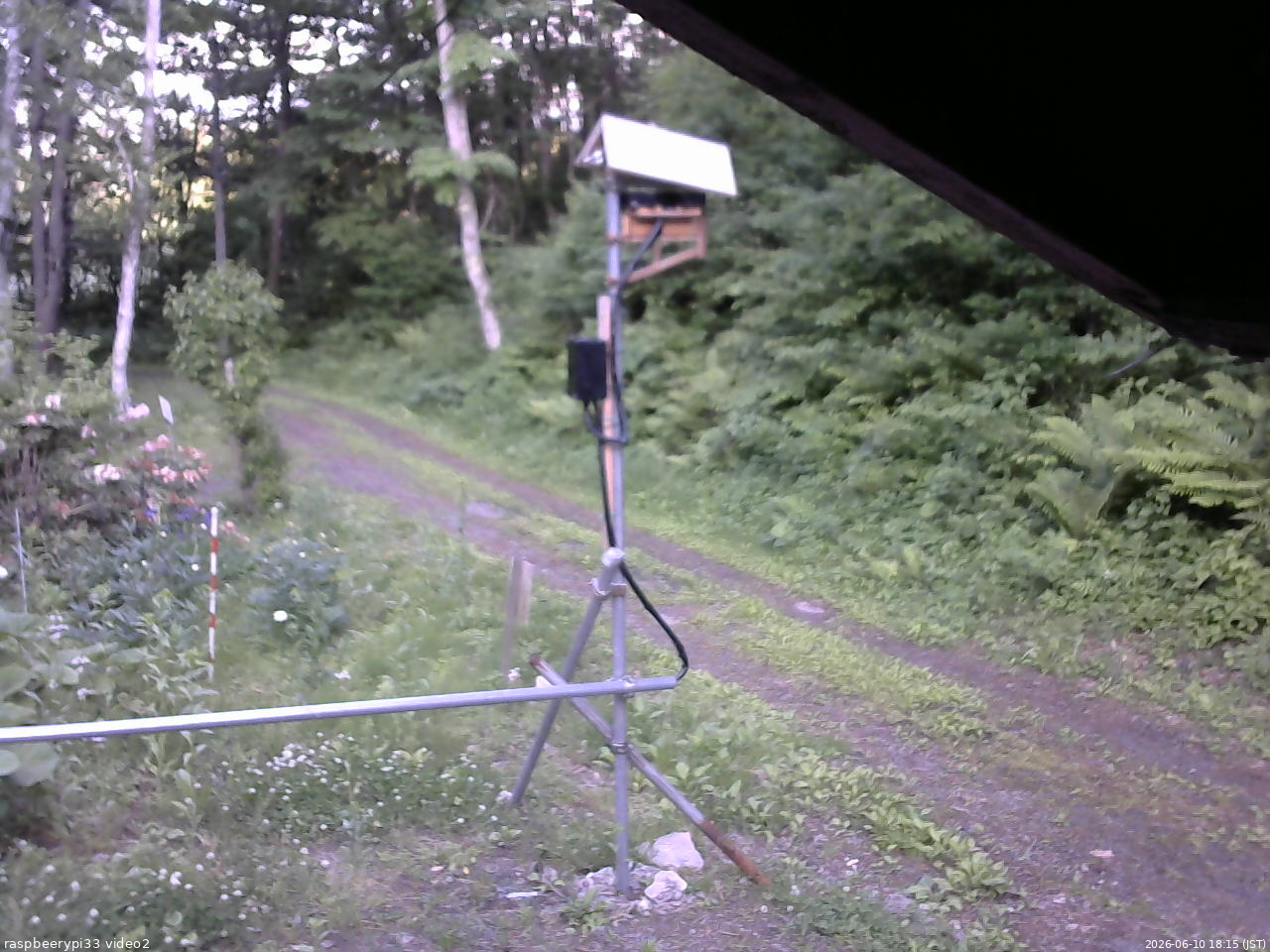 長野県菅平高原 ゆたか山荘 南側 2026/06/10 18:15
