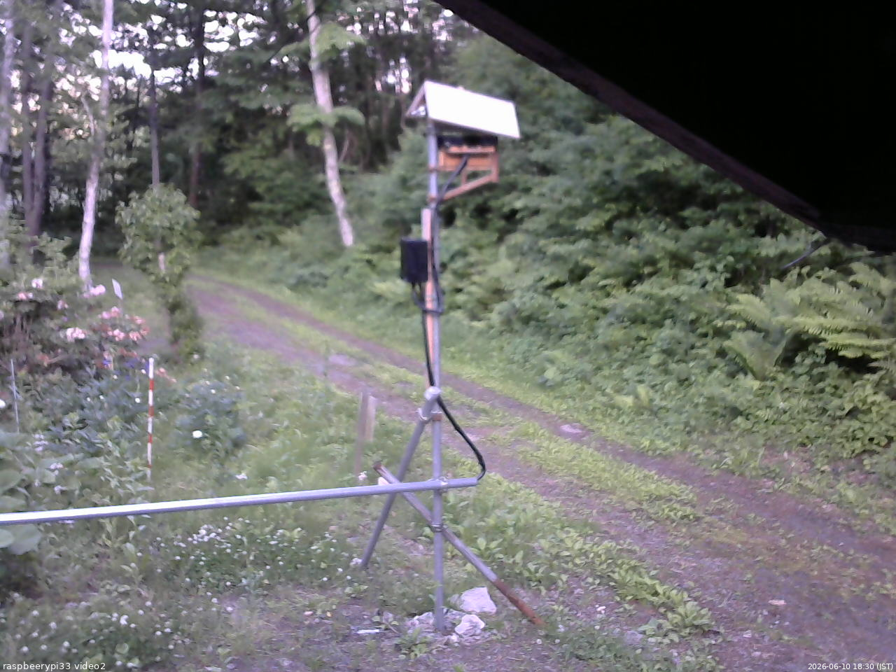 長野県菅平高原 ゆたか山荘 南側 2026/06/10 18:30