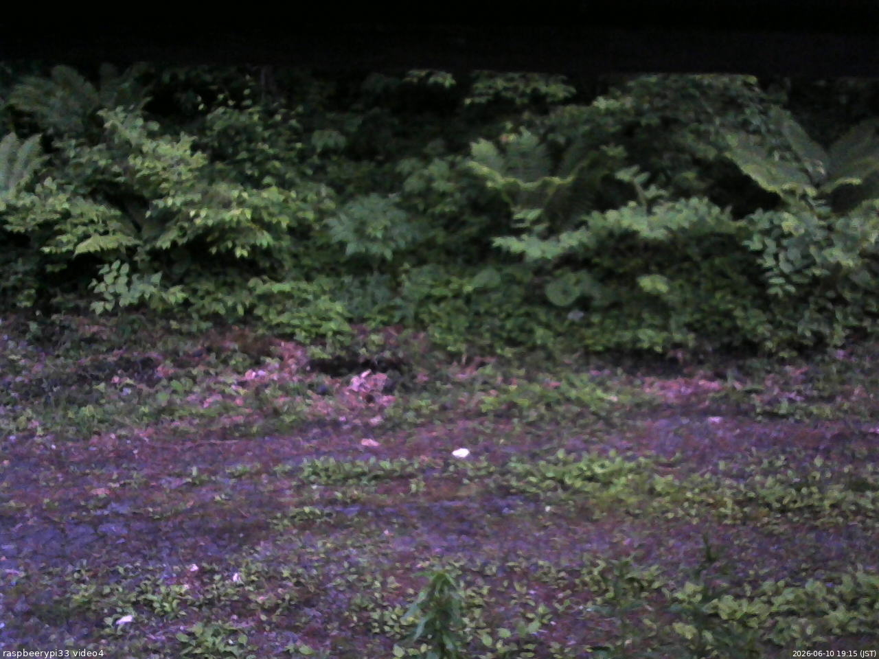 長野県菅平高原 ゆたか山荘 東側(坂下) 2026/06/10 19:15