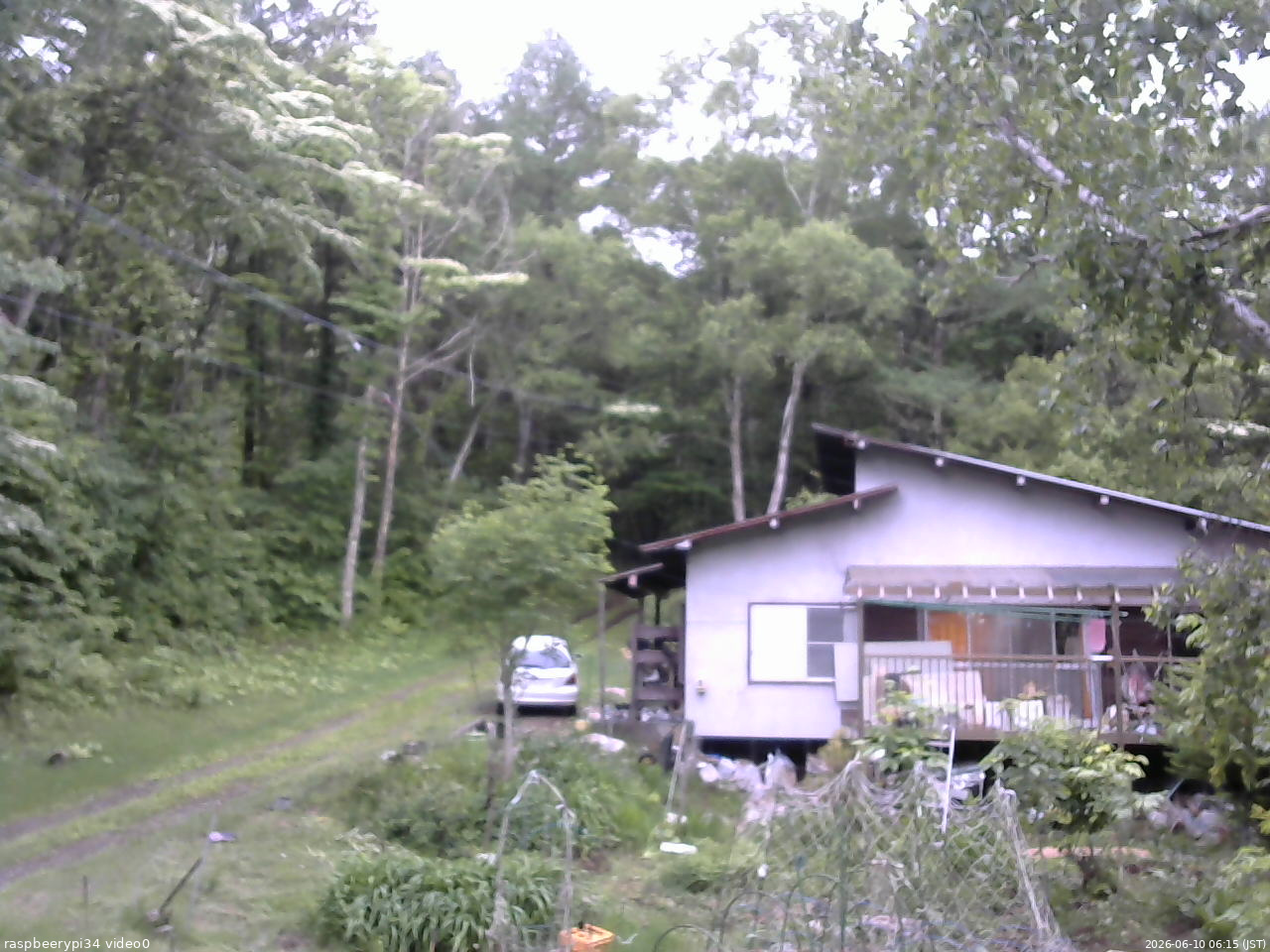 長野県菅平高原 ゆたか山荘 西側(坂上) 2026/06/10 06:15