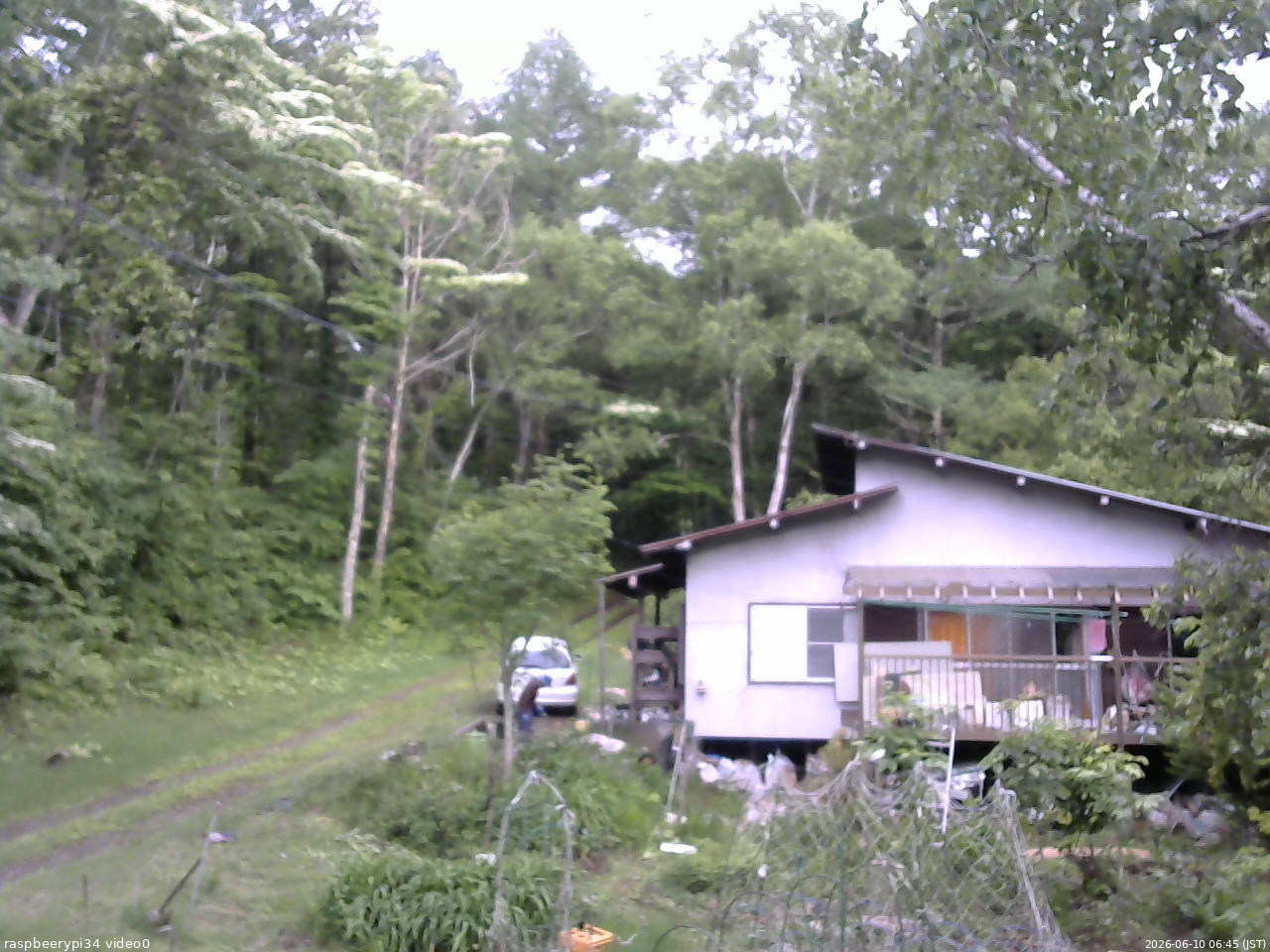 長野県菅平高原 ゆたか山荘 西側(坂上) 2026/06/10 06:45