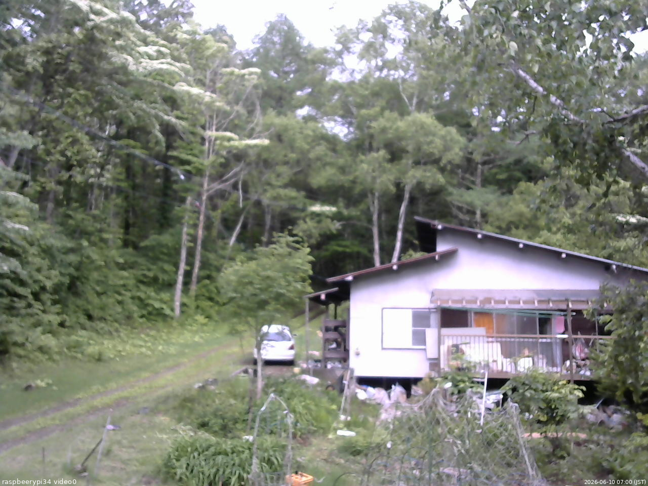長野県菅平高原 ゆたか山荘 西側(坂上) 2026/06/10 07:00