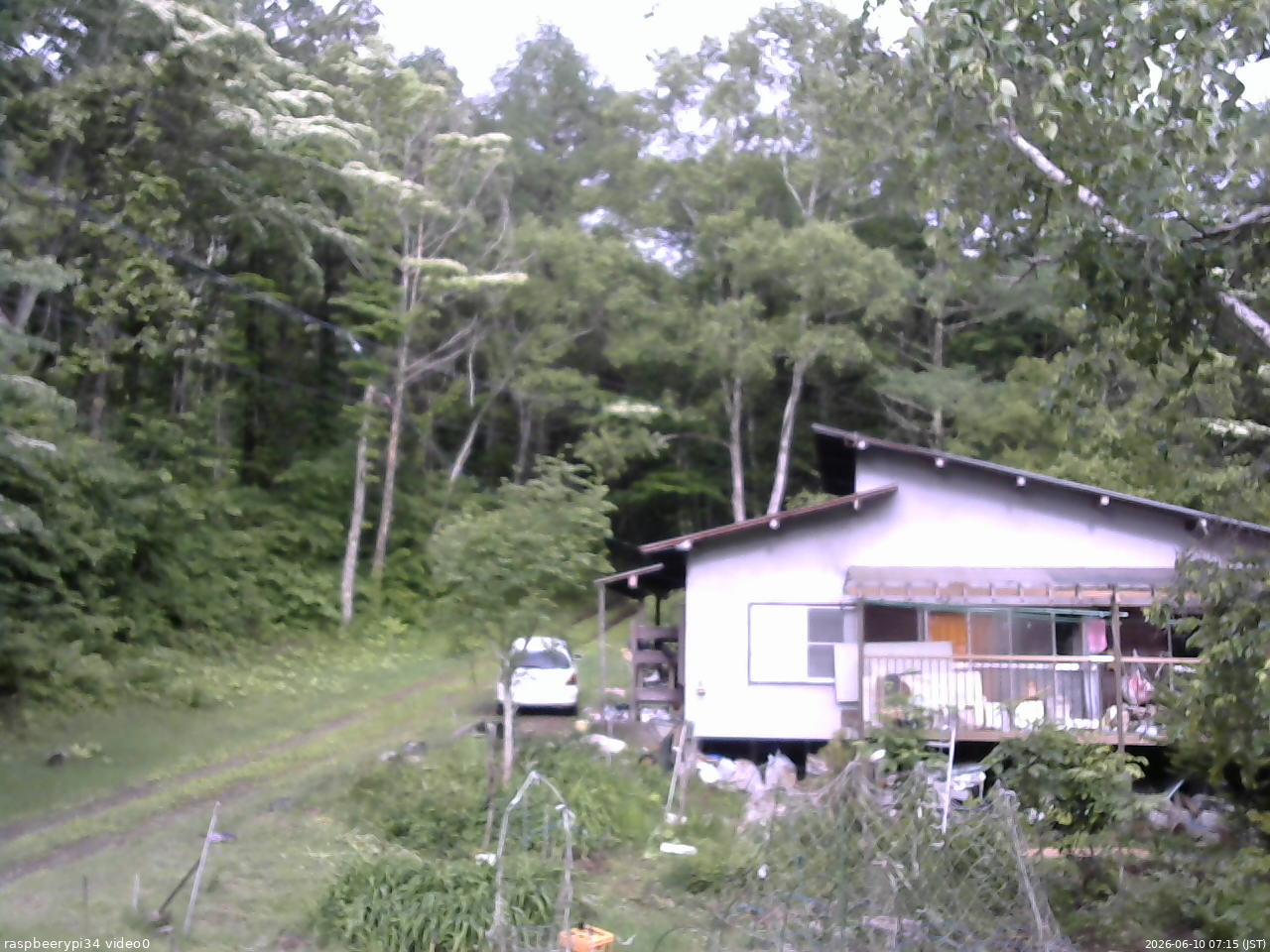 長野県菅平高原 ゆたか山荘 西側(坂上) 2026/06/10 07:15