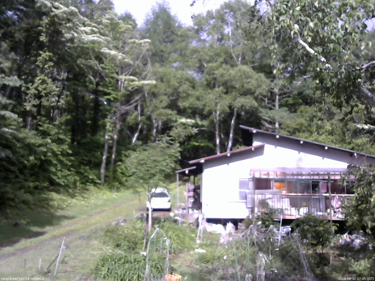 長野県菅平高原 ゆたか山荘 西側(坂上) 2026/06/10 07:45