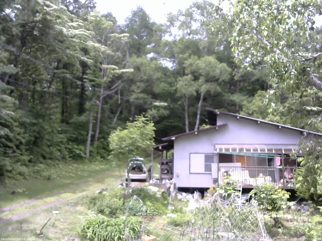 長野県菅平高原 ゆたか山荘 西側(坂上) 2026/06/10 11:00