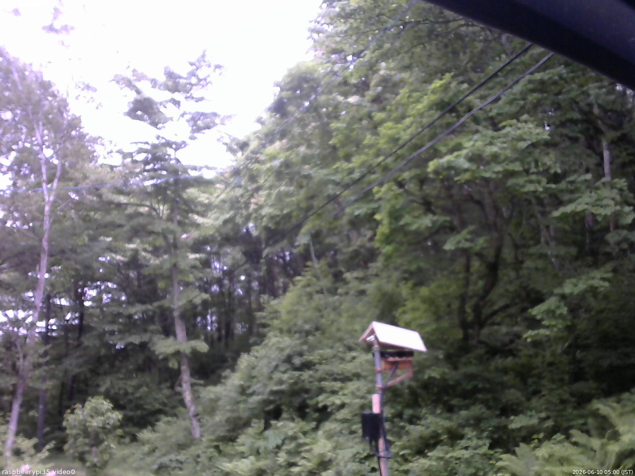 長野県菅平高原 ゆたか山荘 温度計 2026/06/10 05:00
