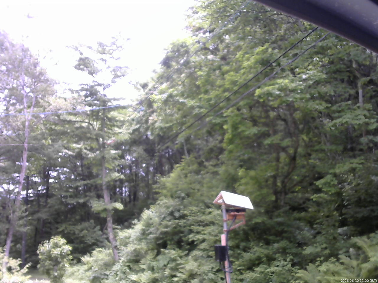 長野県菅平高原 ゆたか山荘 温度計 2026/06/10 11:00