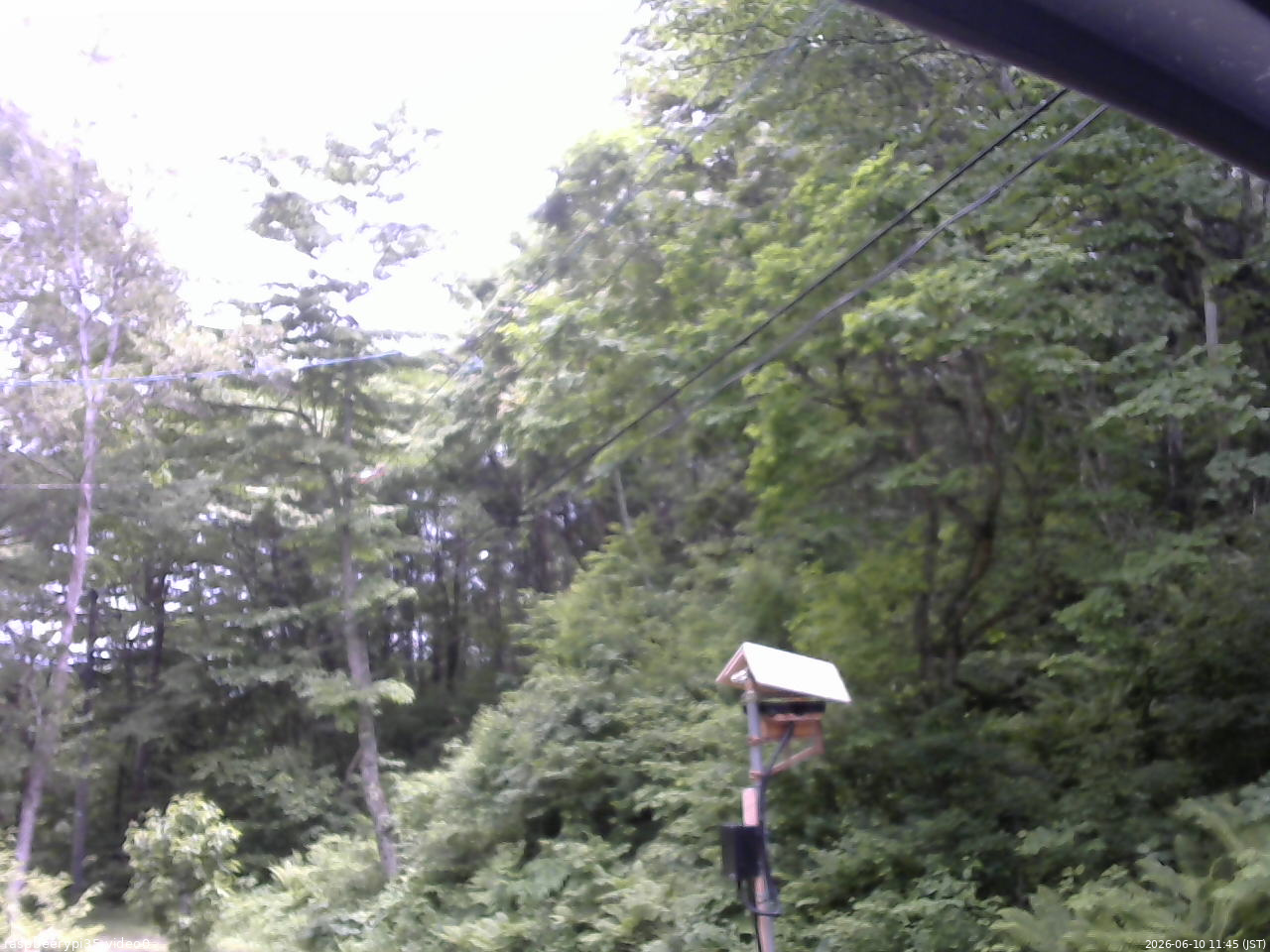 長野県菅平高原 ゆたか山荘 温度計 2026/06/10 11:45