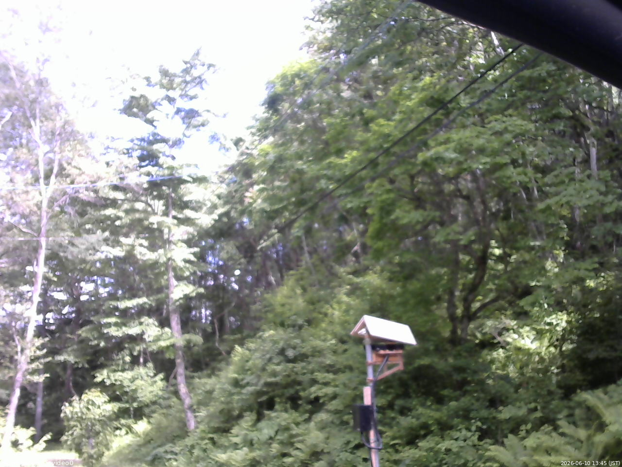長野県菅平高原 ゆたか山荘 温度計 2026/06/10 13:45