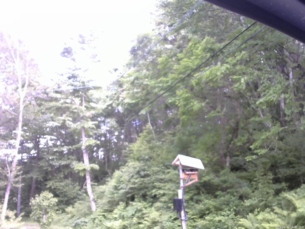 長野県菅平高原 ゆたか山荘 温度計 2026/06/10 14:45