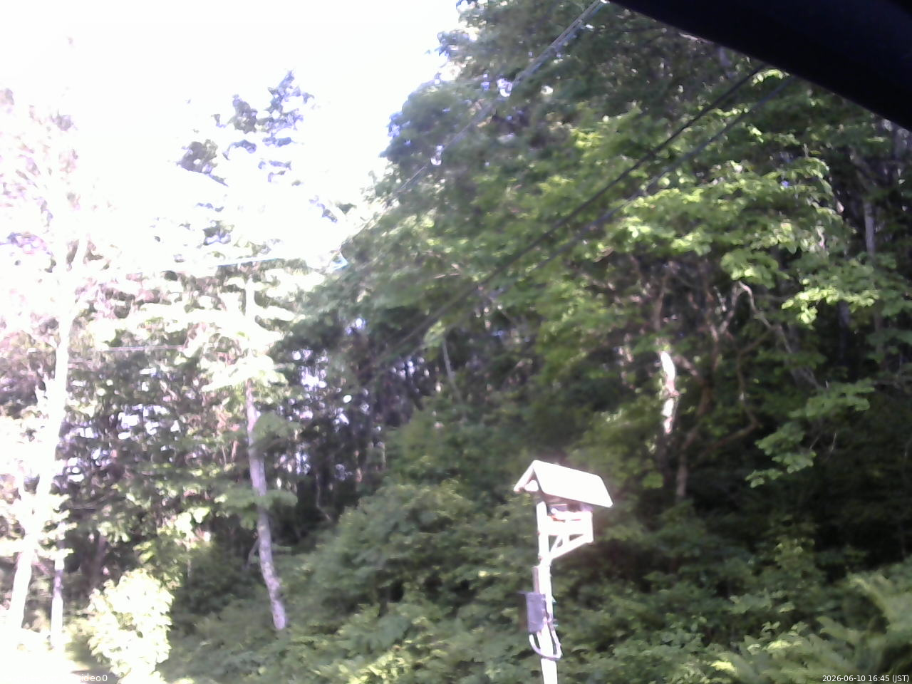 長野県菅平高原 ゆたか山荘 温度計 2026/06/10 16:45