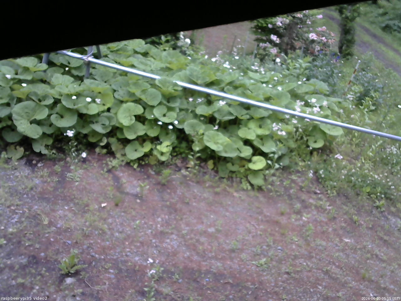 長野県菅平高原 ゆたか山荘 駐車場 2026/06/10 05:15