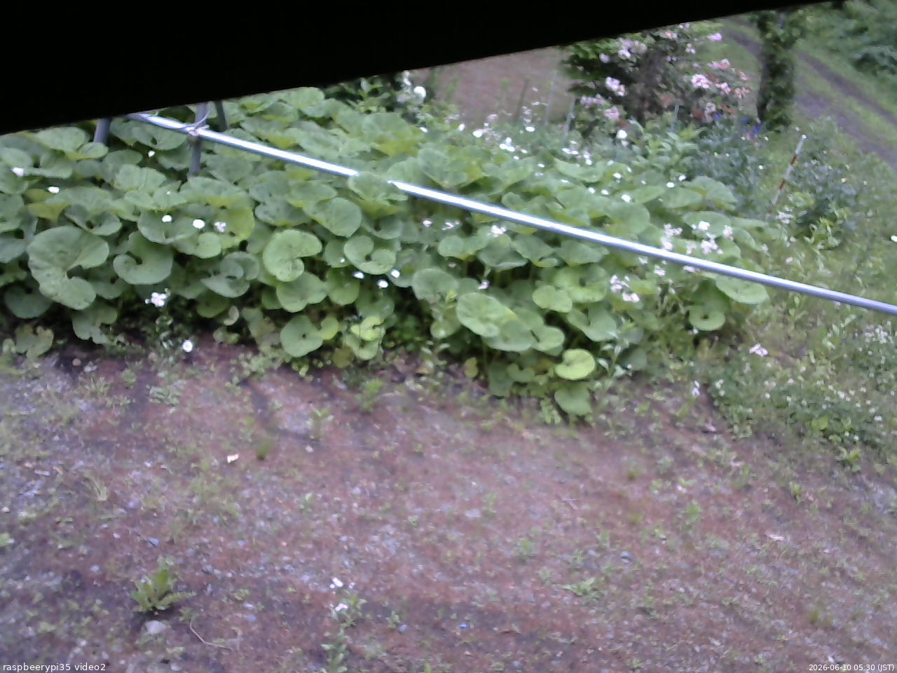 長野県菅平高原 ゆたか山荘 駐車場 2026/06/10 05:30