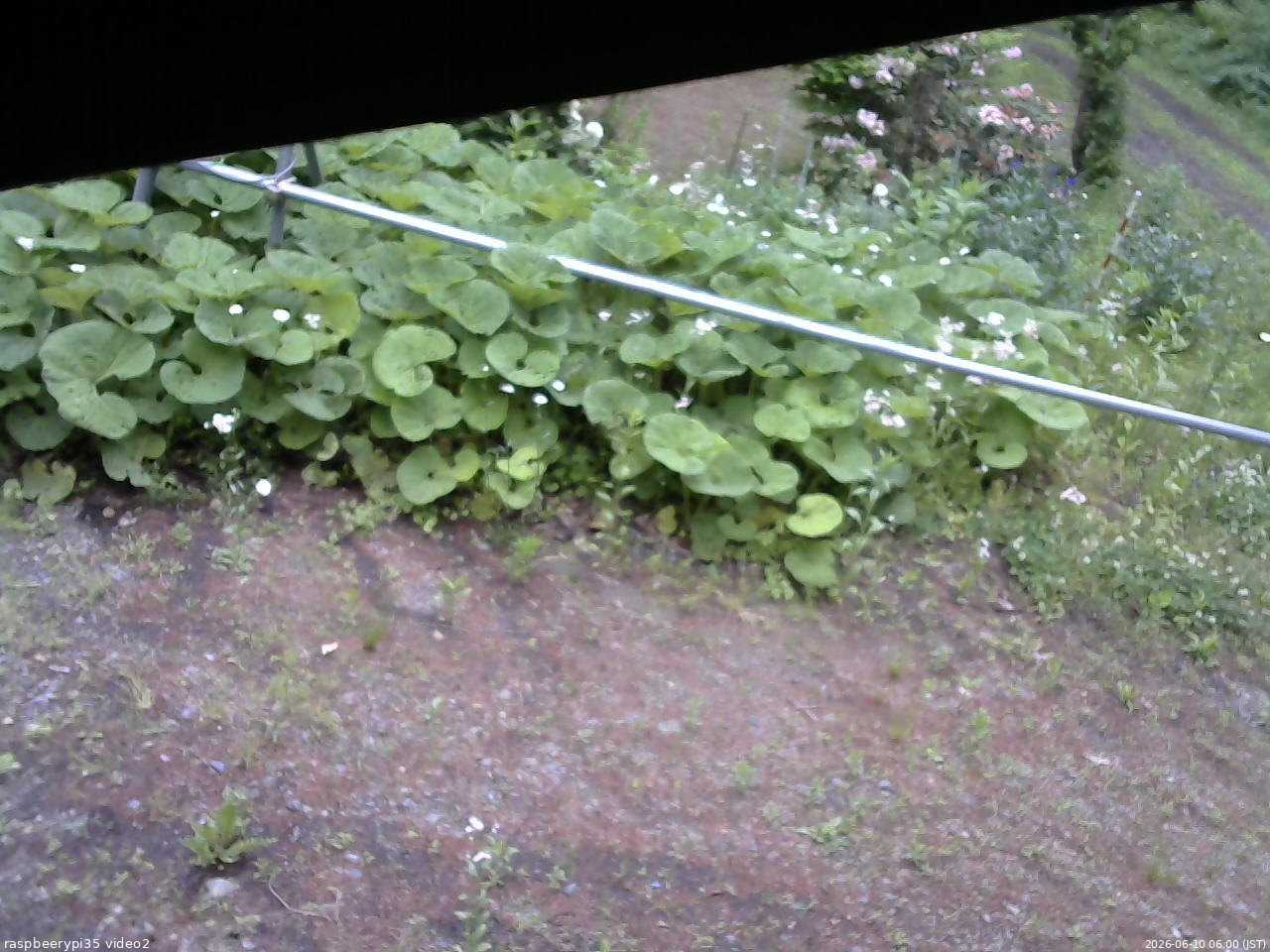 長野県菅平高原 ゆたか山荘 駐車場 2026/06/10 06:00