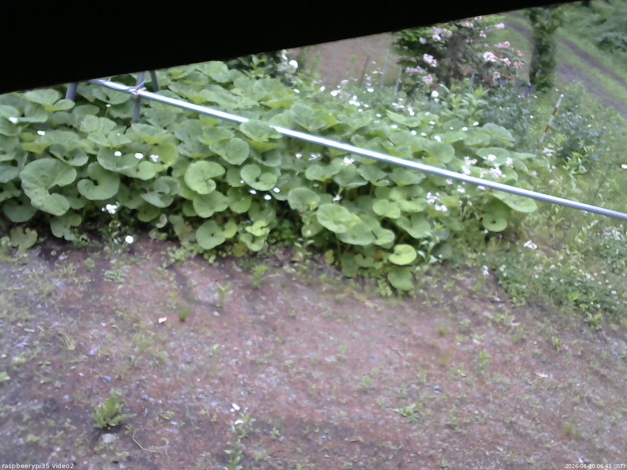 長野県菅平高原 ゆたか山荘 駐車場 2026/06/10 06:45