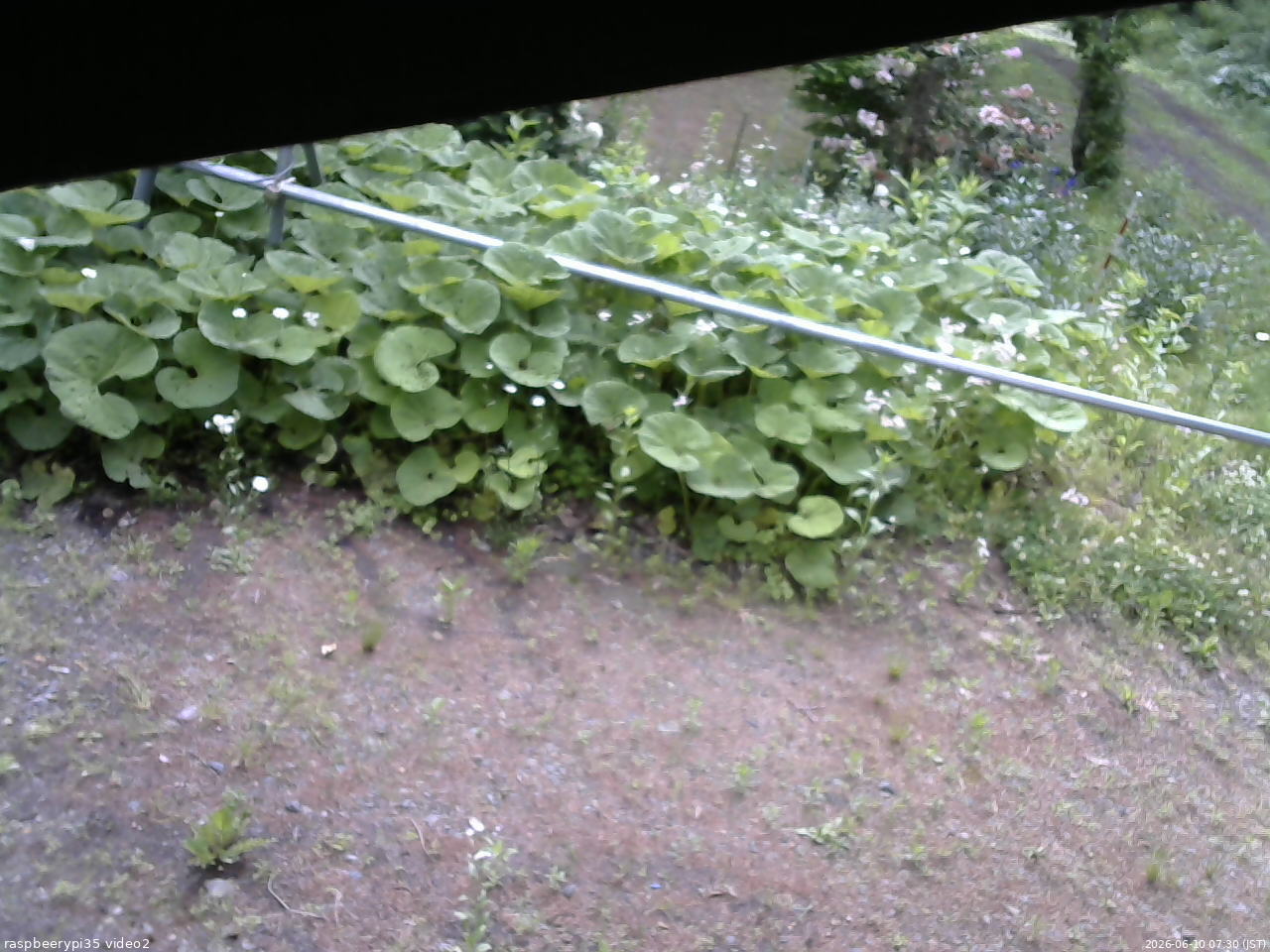 長野県菅平高原 ゆたか山荘 駐車場 2026/06/10 07:30
