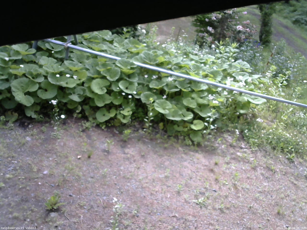 長野県菅平高原 ゆたか山荘 駐車場 2026/06/10 08:00