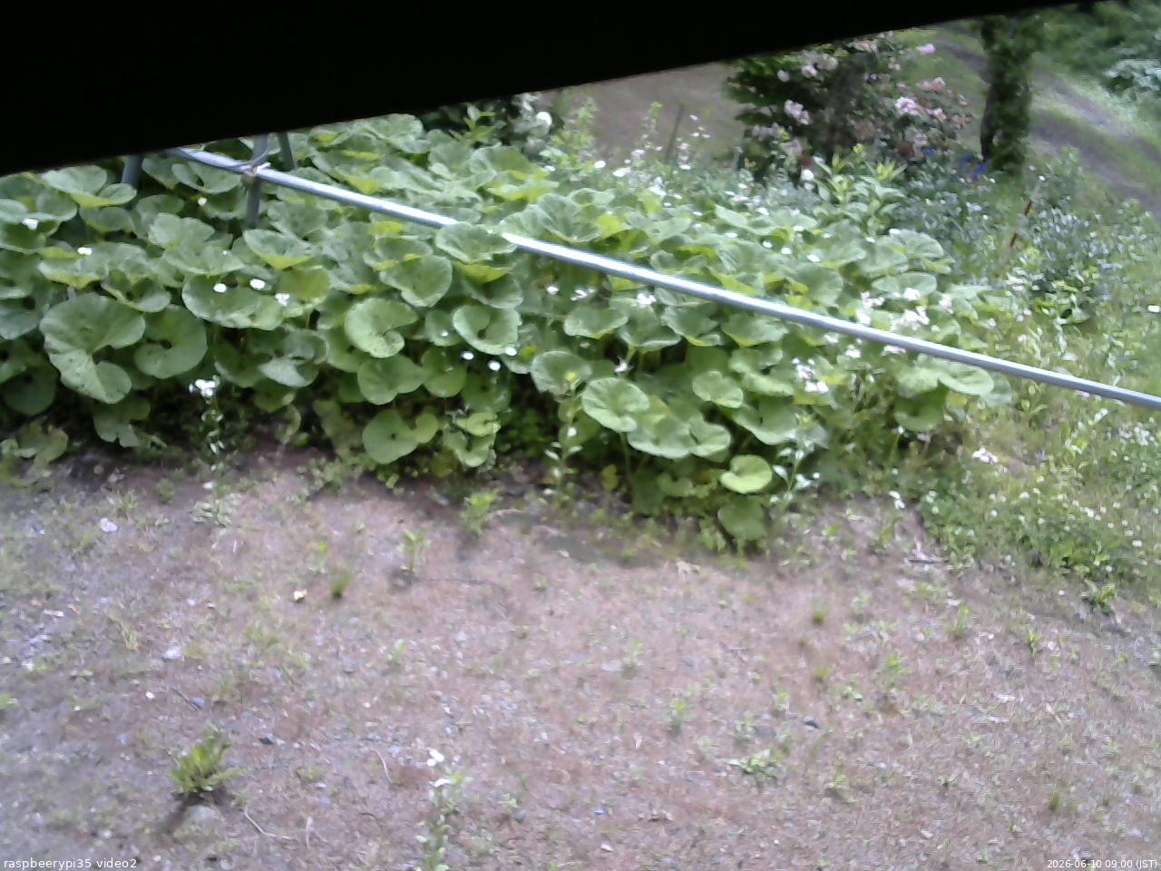 長野県菅平高原 ゆたか山荘 駐車場 2026/06/10 09:00