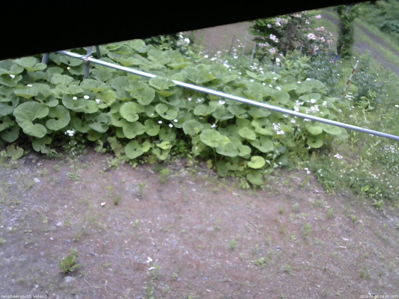 長野県菅平高原 ゆたか山荘 駐車場 2026/06/10 09:45