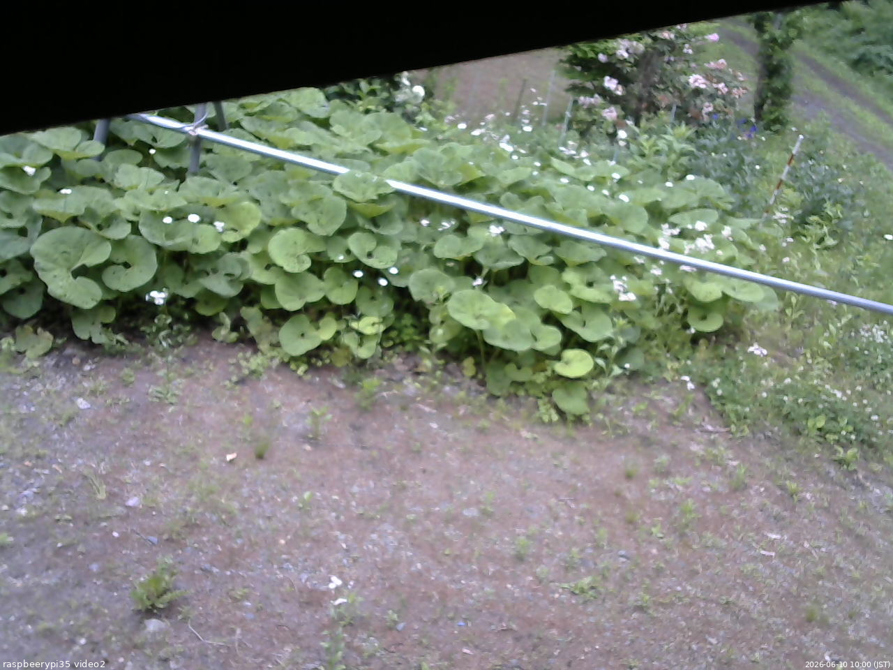 長野県菅平高原 ゆたか山荘 駐車場 2026/06/10 10:00
