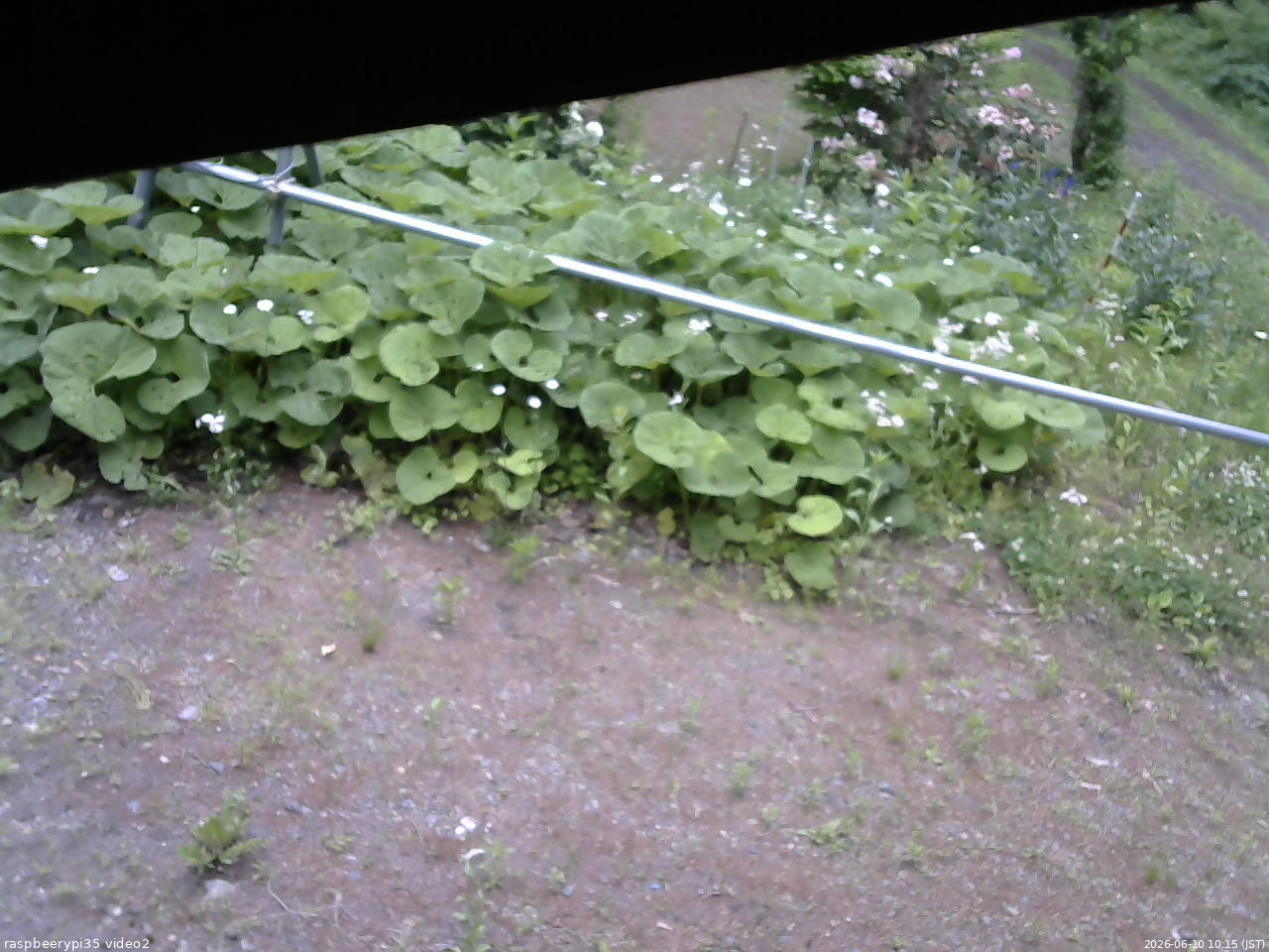 長野県菅平高原 ゆたか山荘 駐車場 2026/06/10 10:15